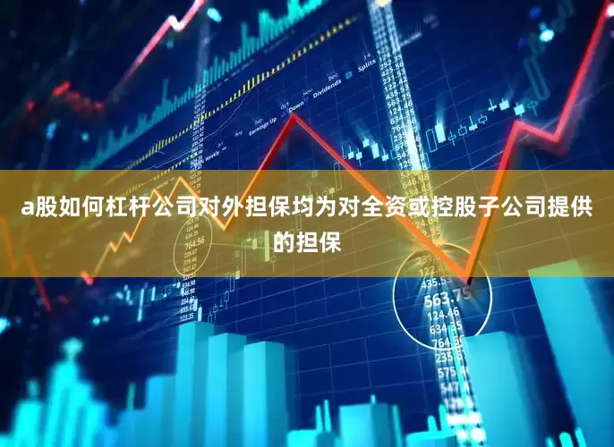 a股如何杠杆公司对外担保均为对全资或控股子公司提供的担保